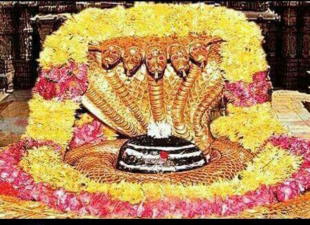 Adhvi Tours & Travels